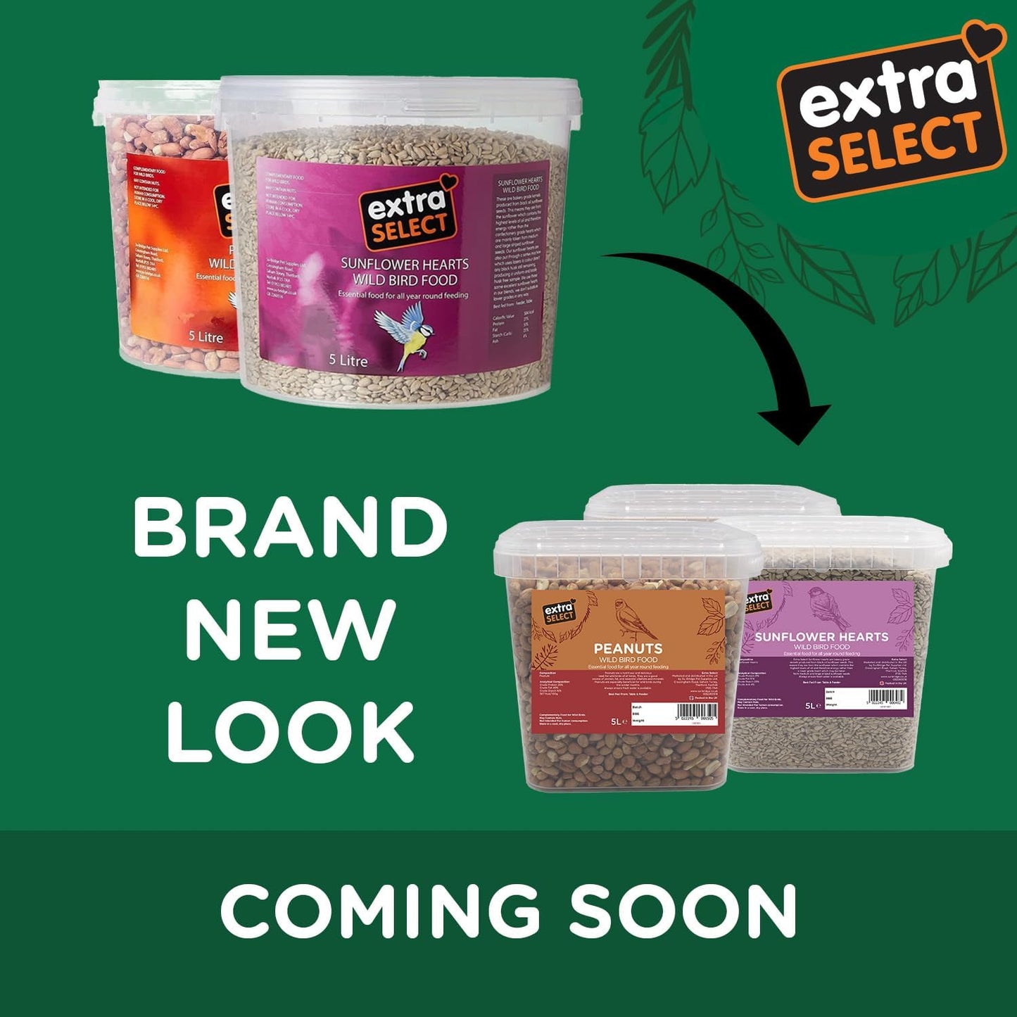 Extra Select Sunflower Hearts Bird Food - Husk-Free, Oil Rich, High Energy Wild Bird Seed for Year Round Feeding - 3 Litre Bucket