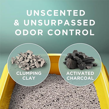 Purina Tidy Cats Free and Clean Unscented Cat Litter - 38 lb. Box