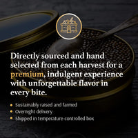 OLMA Classic Caviar Black Caviar Gift Box - Includes 2 oz of Siberian Osetra Aurora, White Sturgeon, Paddlefish, Hackleback Sturgeon Fish Roe & Mother of Pearl Serving Spoon - Overnight Delivery