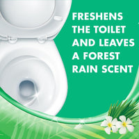 Lysol Toilet Bowl Cleaner Gel, For Cleaning and Disinfecting, Stain Removal, Forest Rain Scent, 24oz (Pack of 2)