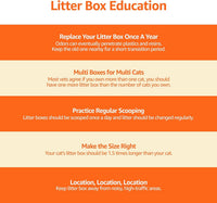 Basics Large Cat Litter Box with High Sides, Open Top, Includes Scoop, 19 x 15 x 11.75 inches, Grey/Beige