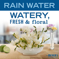 MRS. MEYER'S CLEAN DAY Multi-Surfaace Everyday Cleaner, Rain Water Scent, 16 Ounce Bottle