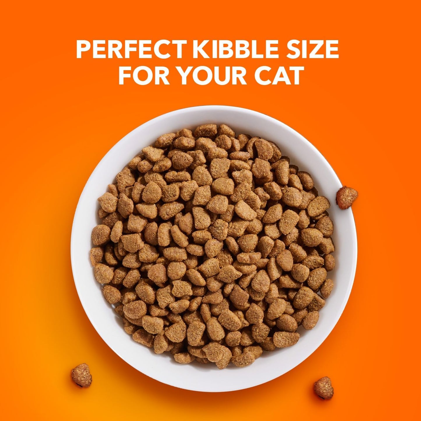 IAMS Proactive Health Indoor Weight & Hairball Care Adult Dry Cat Food with Chicken & Turkey, 7 lb. Bag