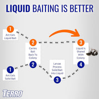 TERRO T200-3SR Liquid Ant Killer – 3 Pack
