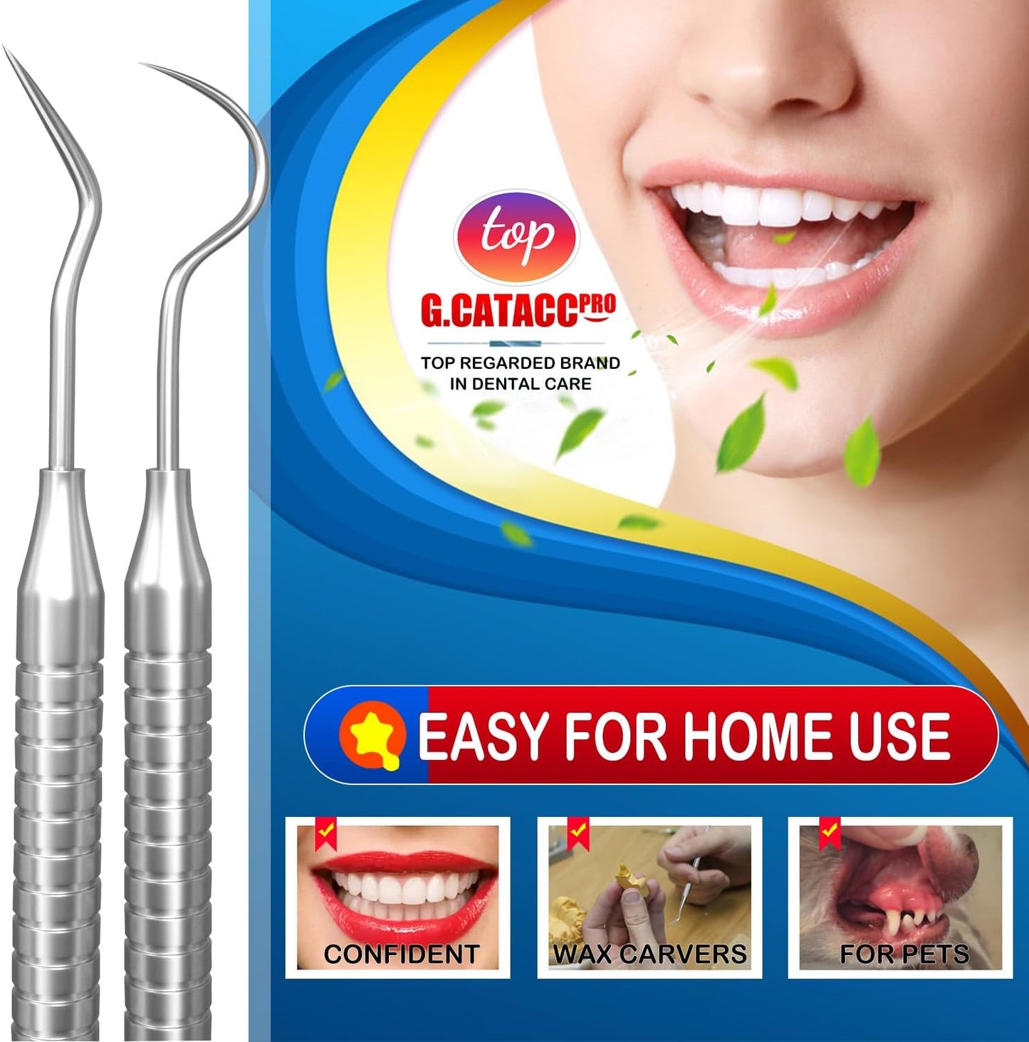 Dental Tools, Dental Pick for Teeth Cleaning, Stainless Steel Hygiene Kit with Tooth Scraper Plaque Tartar Remover - with Case