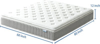 Queen Mattress, 12 Inch Memory Foam Hybrid Mattress in a Box with Pocket Springs for Motion Isolation, Pressure Relief, Medium Firm, CertiPUR-US