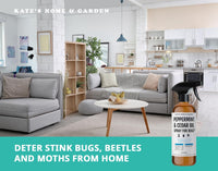 Kate's Home & Garden Peppermint Oil Spray for Bugs, Ants, Insects, Spiders. Pesticide and Insecticide Indoor Repellent Pest Control with Cedarwood Oil (16oz, Natural, Pet Safe, Non Toxic)