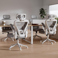 Ergonomic Office Chair M903, Computer Desk Chair with Wheels, High Back Mesh Office Chair with Adjustable Lumbar Support, Headrest, Flip-Up Armrests, Withe Grey