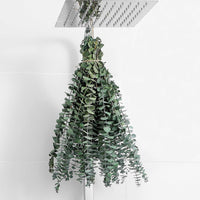 10 Pcs Dried Eucalyptus Stems 17" Real Eucalyptus for Shower Hanging 100% Made from Fresh Leaves, Wedding, Home, Farmhouse, DIY Spring Decor Bathroom Decor Home Decor