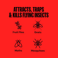 DynaTrap DT152 Indoor Insect Trap and Killer – Catches and Kills Gnats, Flies, Moths & Other Flying Insects
