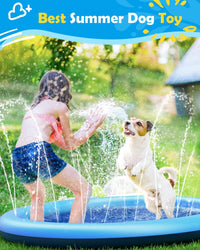 Summer Dog Pool

