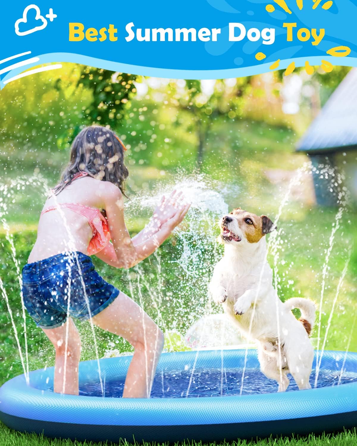 Summer Dog Pool

