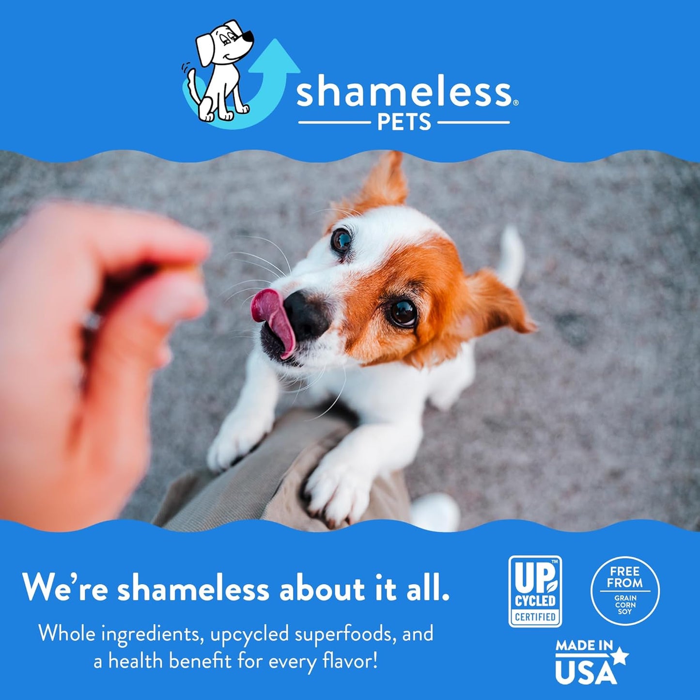 Shameless Pets Soft-Baked Pumpkin Nut Partay Dog Treats - Natural & Healthy Dog Chews for Digestive Support with Fiber - Baked & Made in USA, Grain, Corn & Soy Free - 3-Pack