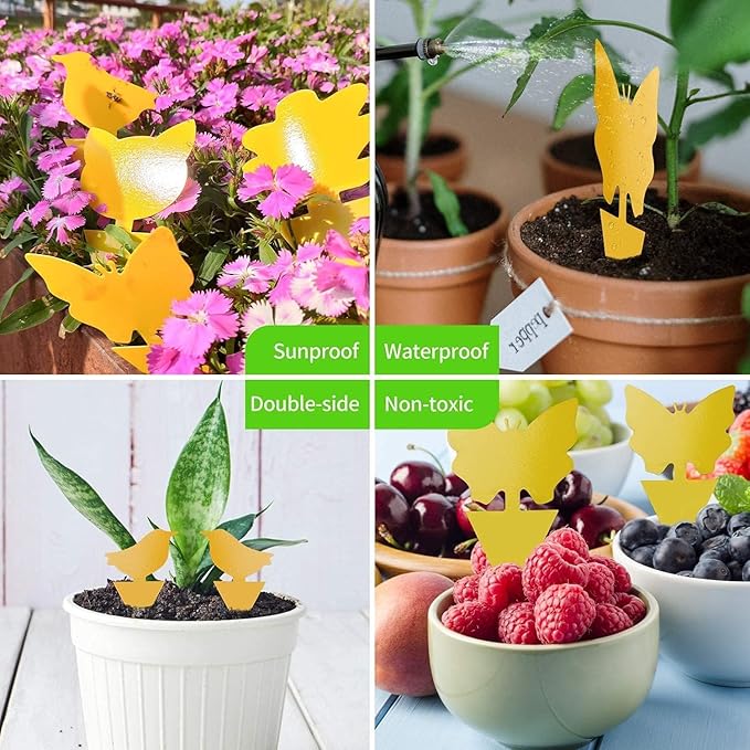 64 Pcs Sticky Trapz for gnat, Yellow Stick Traps for Plants, Fungus gnat Traps Double Side with Shovel, Indoor Safe for Gnat, Fruit Fly, White Fly, Aphid, Leaf Miner - Cart Shape