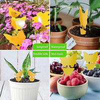 64 Pcs Sticky Trapz for gnat, Yellow Stick Traps for Plants, Fungus gnat Traps Double Side with Shovel, Indoor Safe for Gnat, Fruit Fly, White Fly, Aphid, Leaf Miner - Cart Shape