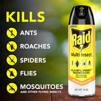 Raid Multi Insect Killer, Orange Breeze 15 Ounce (Pack of 1)