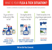 Plus Flea & Tick Shampoo with Precor for Cats, Kittens, Dogs & Puppies Over 12 Weeks Of Age Sensitive Skin Flea Treatment | Kills Adult Fleas, Flea Eggs, Ticks, and Lice| 12 Ounces