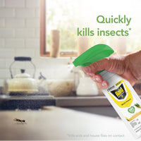 Raid Essentials Multi-Insect Killer Spray Bottle, Child and Pet Safe, for Indoor Use, Lemongrass Scent, 12 fl oz