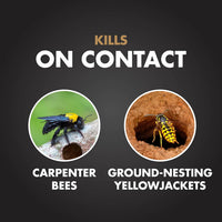 Spectracide Carpenter Bee and Ground Nesting Yellow Jacket Foaming Aerosol, 16-Ounce