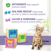 Purina Kitten Chow 14lb