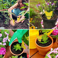 64 Pcs Sticky Trapz for gnat, Yellow Stick Traps for Plants, Fungus gnat Traps Double Side with Shovel, Indoor Safe for Gnat, Fruit Fly, White Fly, Aphid, Leaf Miner - Cart Shape