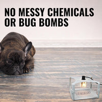 Terro T230 Indoor Electric Flea Trap and Killer - Refillable Flea Traps for Inside Your Home