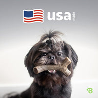 Benebone Medium 4-Pack Dog Chew Toys for Aggressive Chewers, Made in USA, 60lbs and Under