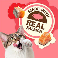 Purina Friskies Natural Cat Treats Party Mix Natural Yums With Real Salmon and Added Vitamins, Minerals and Nutrients - 20 Oz. Canister