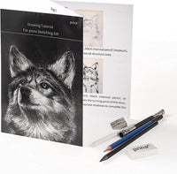 Prina 50 Pack Drawing Set Sketch Kit, Sketching Supplies with 3-Color Sketchbook, Graphite, and Charcoal Pencils, Pro Art Drawing Kit for Artists Adults Teens Beginner Kid, Ideal for Shading, Blending