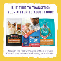 Purina Kitten Chow 14lb