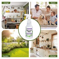 Peppermint Oil Insect & Pest Control Spray – 16oz Natural Plant-Based Bug Killer for Spiders, Ants, Flies, and Other Insects, Safe for Home & Kitchen Use
