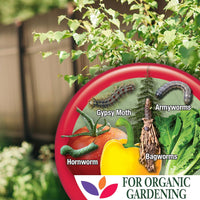 Bonide 8066 Captain Jack's Bacillus Thuringiensis BT Organic Worm & Caterpillar Control, 32 oz. Ready-to-Us - Quantity 1