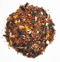 Wagner's 53002 Farmer's Delight Wild Bird Food with Cherry Flavor, 10-Pound Bag