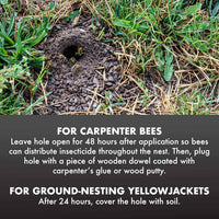 Spectracide Carpenter Bee and Ground Nesting Yellow Jacket Foaming Aerosol, 16-Ounce