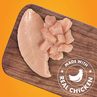 Dog Treats, Chicken Jerky for Dogs, Made with 100% Real Chicken Breast, 16 Ounces, Healthy, Easily Digestible, Long-Lasting, High Protein Dog Treat, Satisfies Dog's Urge to Chew (Pack of 1)
