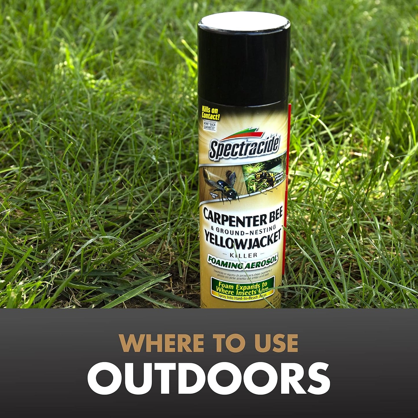 Spectracide Carpenter Bee and Ground Nesting Yellow Jacket Foaming Aerosol, 16-Ounce