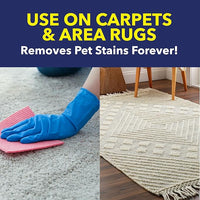 OxiClean Carpet and Rug Cleaner, Pet Stain and Odor Remover Spray, 24 fl oz