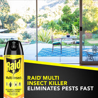 Raid Multi Insect Killer, Orange Breeze 15 Ounce (Pack of 1)