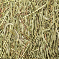 Kaytee Wafer Cut All Natural Timothy Hay for Pet Guinea Pigs, Rabbits & Other Small Animals, 60 Ounce